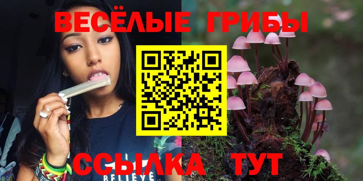 Псилоцибиновые грибы прущие грибы  Вход с VPN  Новосибирск 