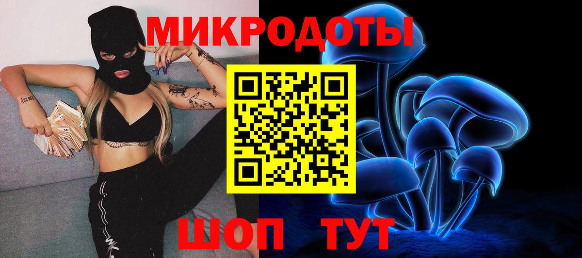 Псилоцибиновые грибы мицелий Новосибирск