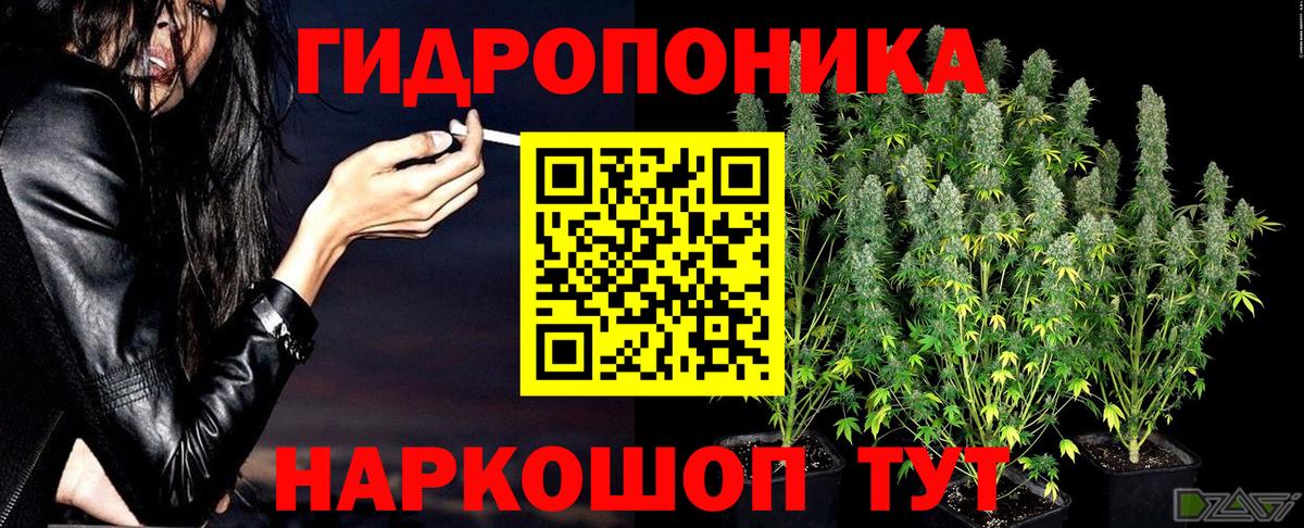 Шишки марихуана Bruce Banner  Канабис гибрид  Вход с VPN  Новосибирск 